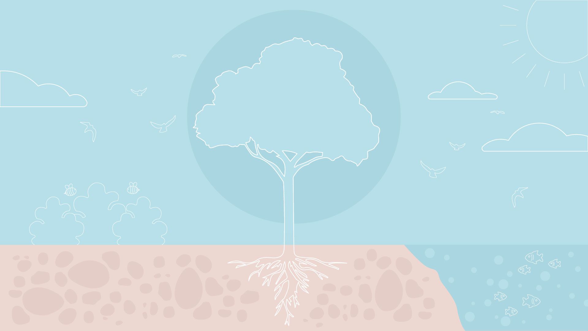 Ecosistema vivente con fauna e flora.